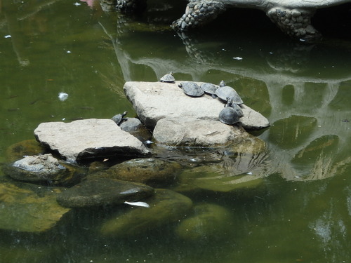 Jardín Botánico.